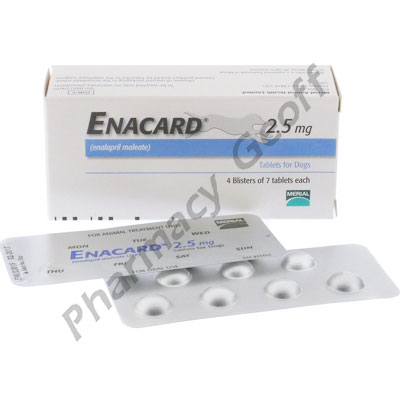 enalapril maleate tablets 2.5mg